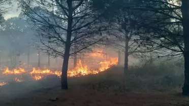 Çanakkale'de Orman Yangını Kontrol Altına Alındı