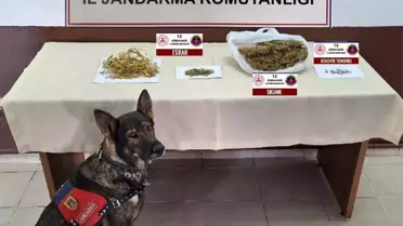 Erzincan'da Asayiş ve Trafik Denetimlerinde 157 Şüpheli Yakalandı