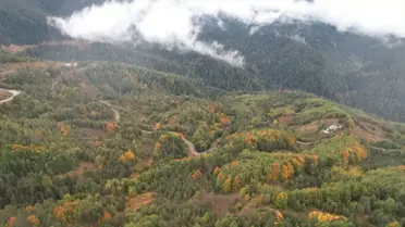 Kastamonu'da Sonbahar Renkleri