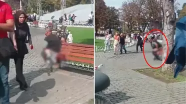 Topkapı Sarayı önünde skandal görüntü! Herkesin gözü önünde pantolonunu indirip tuvaletini yaptı