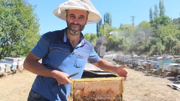 Tosya'da 55 Ton Bal Hasadı Gerçekleşti