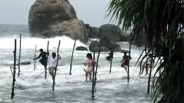 Sri Lanka'da Çubuklar Üzerinde Balık Tutma Yöntemi
