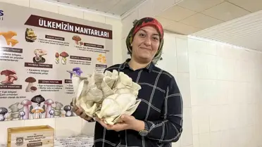 Tarsus Belediyesi Tarım ve Sosyal Tesislerde Yenilikçi Projelerle Üreticilere Destek Sağlıyor