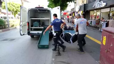 Manavgat'ta kanser hastası yaşlı adam tüfekle vurulmuş olarak bulundu