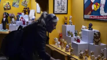 İstanbul'un İlk Hayvan Temalı Müzesi: Kedi Müzesi