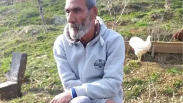 Tunceli'de Ceviz Toplarken Ağaçtan Düşen Kişi Hayatını Kaybetti