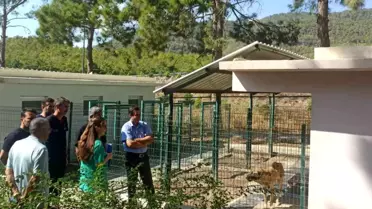 Bozyazı Kaymakamı Hayvanları Koruma Bilincini Vurguladı
