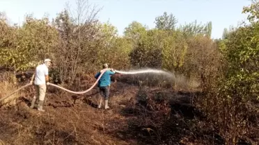 Çorum'un Dodurga ilçesinde çıkan yangında 2 dönüm ceviz bahçesinde zarar oluştu