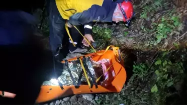 Artvin'de yayla dönüşü kamyonet uçuruma yuvarlandı, 3 kişi kurtarıldı