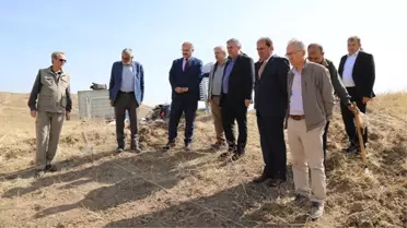 Başkent'te Ankara Savaşı'ndan kalma toplu mezar bulundu