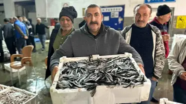 Samsun'da Gece Yapılan Mezatta Kasalar Dolusu Hamsi Kapış Kapış Satıldı