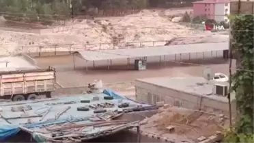 Şanlıurfa'da Kan Davası Silahlı Kavgası: 1 Ölü
