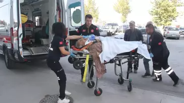 Ceviz ağacından düşen kişi hayatını kaybetti