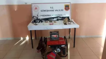 Gümüşhane'de Kaçak Kazı ve Kenevir Operasyonu