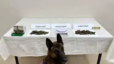 Trabzon'da Uyuşturucu Operasyonunda Bir Kişi Gözaltına Alındı