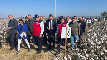 Aydın'da Yerli Pamuk Çeşitlerinin Tanıtımı Yapıldı