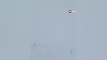 Bayburt'un yüksek kesimlerinde kar yağışı etkili oldu