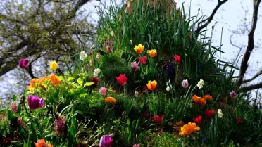 Sakıp Sabancı Müzesi'nde Agnes Denes'in Yaşayan Piramit'i sergileniyor