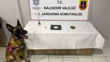 Balıkesir Gönen'de Uyuşturucu Operasyonu: 3 Şüpheli Yakalandı