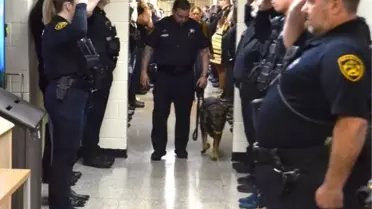 ABD'de kanser teşhisi konulan narkotik köpeği emekli oldu
