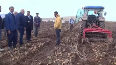 Bitlis Ahlat'ta Patates Hasadı Başladı