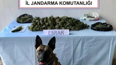 Afyonkarahisar'da uyuşturucu operasyonu: Bir kişi gözaltına alındı