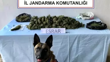 Afyonkarahisar'da Uyuşturucu Operasyonu: 3 Gözaltı