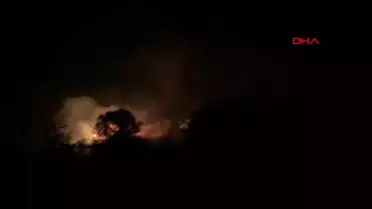 Balıkesir Kepsut'ta Trafoya Yıldırım Düştü, Orman Yangınına Dönüştü