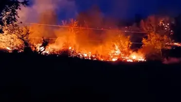 Çanakkale'deki Orman Yangınları Yağmur Etkisiyle Kontrol Altına Alındı