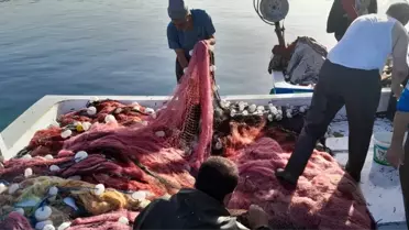 Çanakkale'de Balıkçılar 1300 Lüferle Döndü