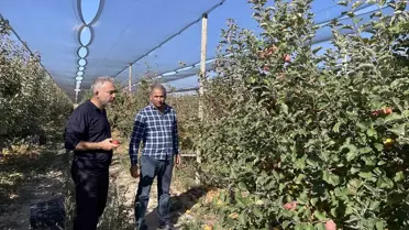 Niğde Misket Elmasının Hastalıklara Dayanıklı Genleri ABD'ye Aktarılacak