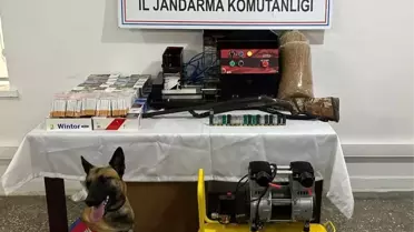 Balıkesir'de 'Duman' operasyonu: Kaçak tütün ve dolu makaron ele geçirildi