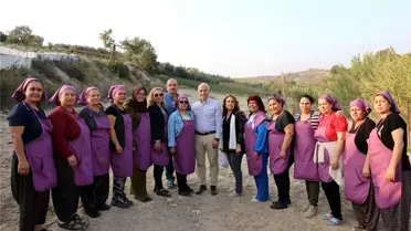 Akdeniz'de Kadınlar Organik Yeşillik Üretiyor Projesi
