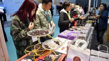 7. İpek Yolu Uluslararası Fuarı Xi'an'da Başladı