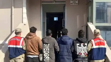 Ağrı'da Göçmen Kaçakçılığı Operasyonu: 24 Göçmen Yakalandı
