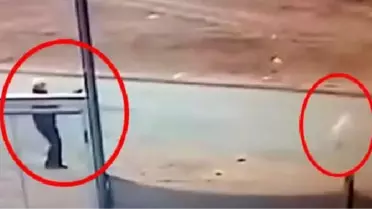 Kırıkkale'de Sokak Köpeğini Tüfek ile Öldüren Şüpheli Serbest Bırakıldı