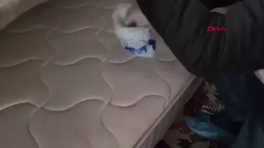 Eskort Siteleri Üzerinden Dolandırıcılık Yapan 7 Kişi Gözaltına Alındı