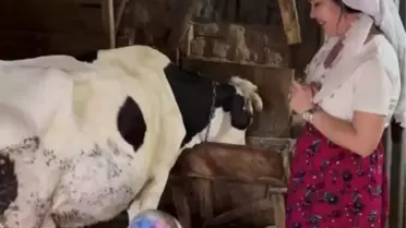 Özlem ve Tayyar Öz çifti, köyde inek sağdıkları görüntüleri paylaştı