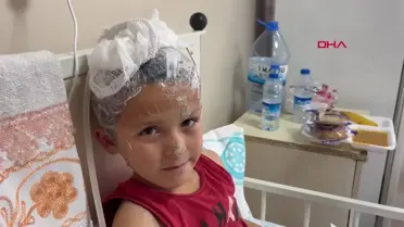 Sivas'ta sokak köpekleri ilkokul öğrencisine saldırdı