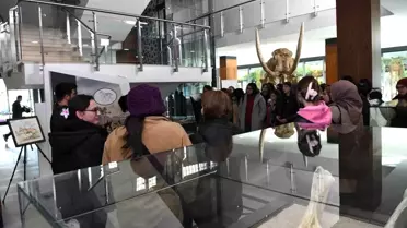 Kayseri Büyükşehir Belediyesi'nden 7,5 Milyon Yıllık Fosil Sergisi