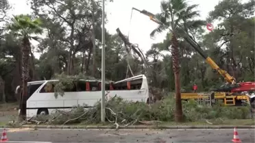Manavgat'da hortum asırlık çam ağaçlarını yerle bir etti