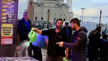 Trabzon'da hamsi fiyatları uygun
