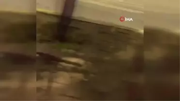 Antalya'da elektrikli scooter kullanan 2 lise öğrencisine çarpan sürücüye hapis cezası