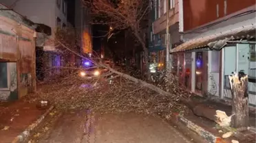 Keşan'da Lodos Etkili Oldu: Ağaçlar Yollara Devrildi