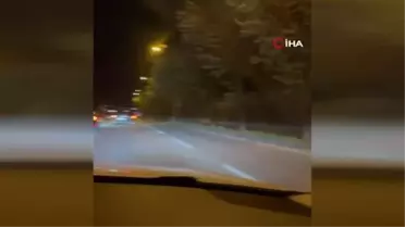 Metro raylarına ağaç düştü, seferler bir süreliğine iptal edildi