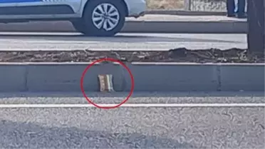 Diyarbakır'da otomobilin çarptığı çocuk hayatını kaybetti