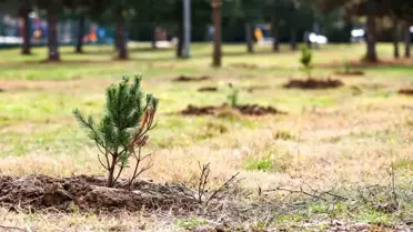 Uşak Belediye Başkanı Mehmet Çakın, özel gereksinimli çocuklarla fidan dikti