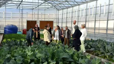 Tokat'ın Niksar İlçesinde Sera Akademi Projesiyle Üretim ve Eğitim Devam Ediyor