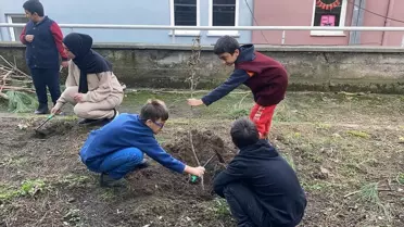 Zonguldak'ta Engelliler Günü'nde fidan dikildi