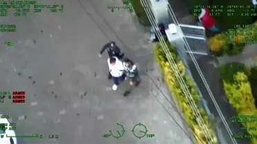 İzmir'de kediler avukat ve icra memuru olarak tanıtıldı, 10 milyon lira vurgun yapıldı